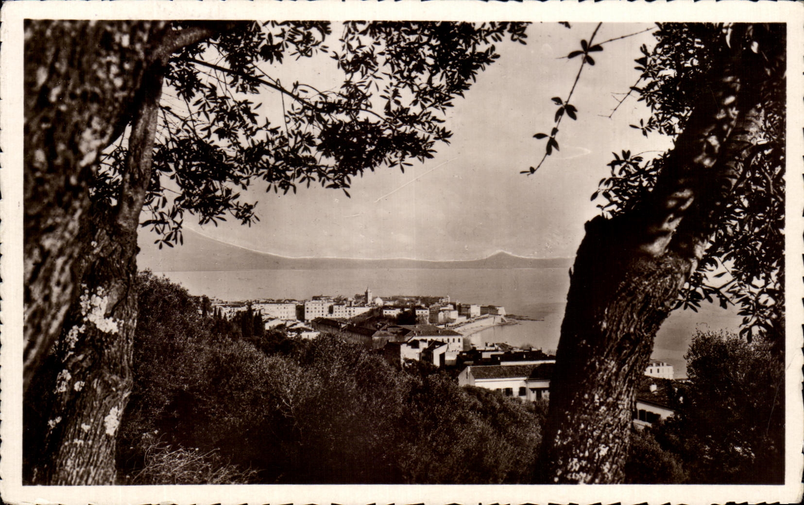 CPA Arrivee Ideale Ajaccio Vue sur la Ville Corse Corsica