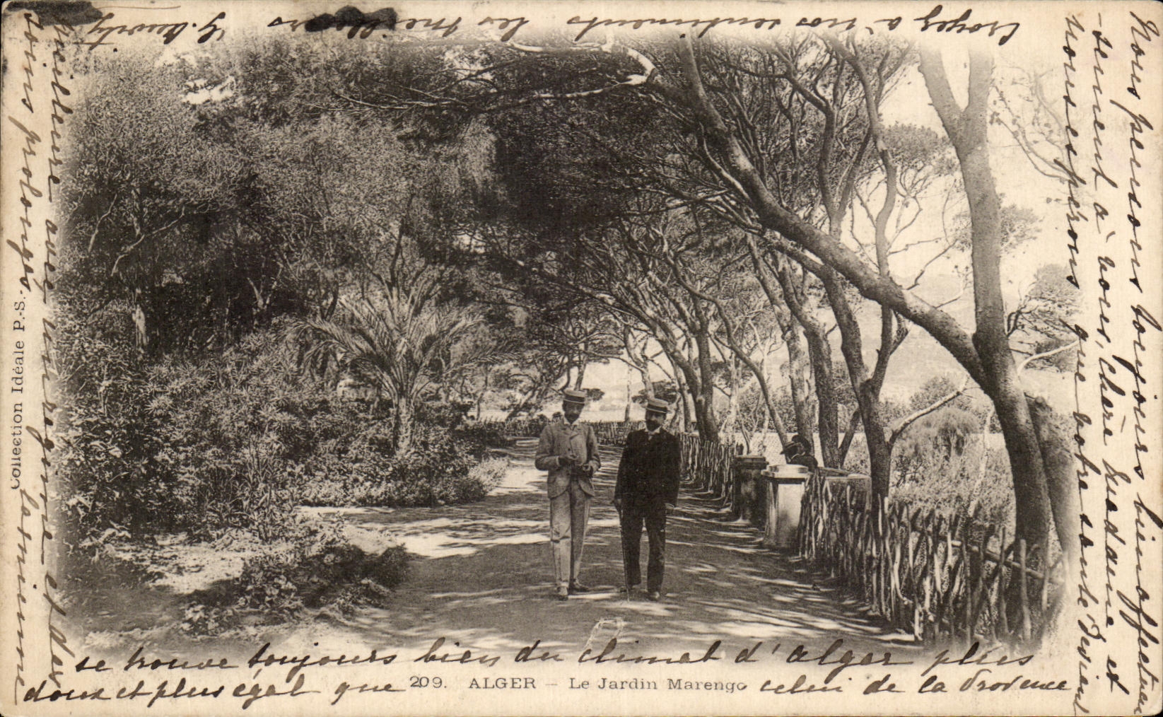CPA Alger Le Jardin Marengo Algerie 