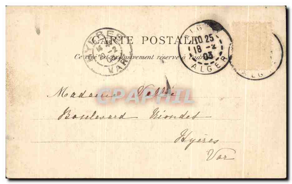 CPA Alger Le Jardin Marengo Algerie  — Rückseite