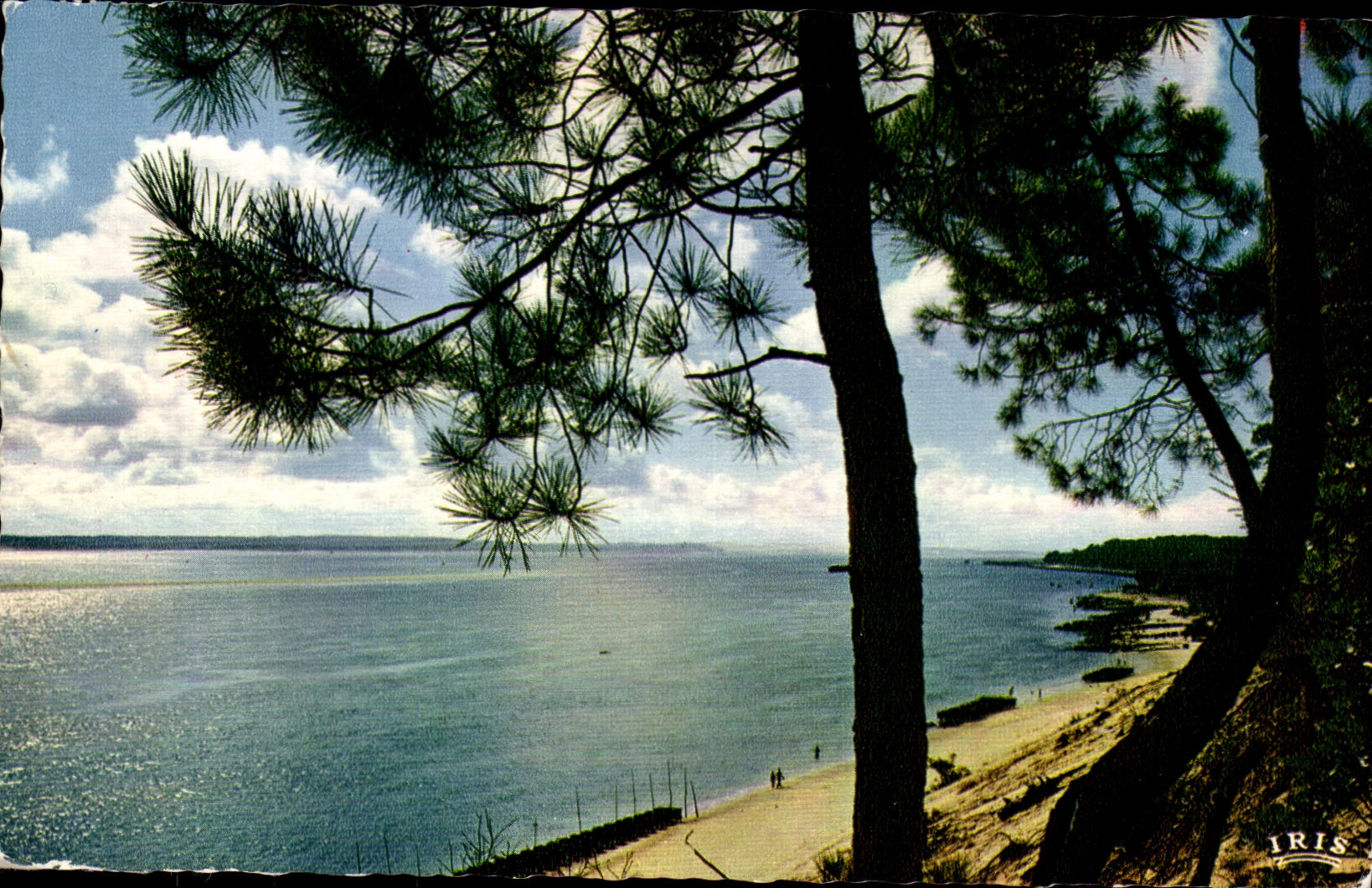 Arcachon — Coucher de soleil sur le bassin d'Arcachon — Éditions Modernes & Théodjac