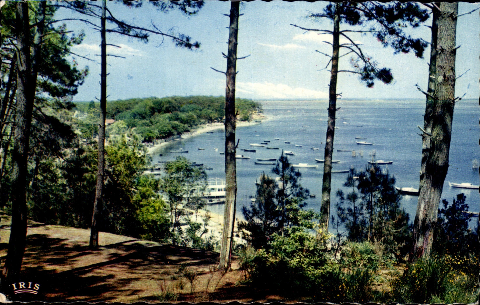 Bassin d'Arcachon — Vue sur la Pointe aux Chevaux — Éditions Méxichrome, n°21