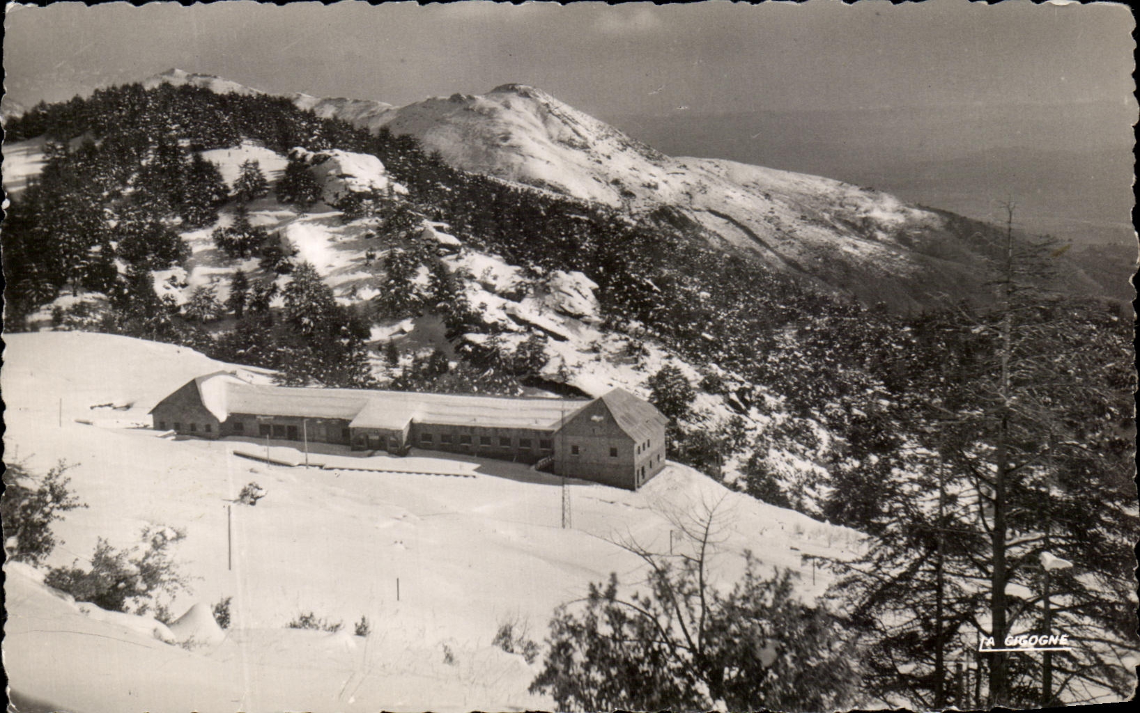 Le Club hivernal — Tikjda — éditeur La Cigogne, n°2