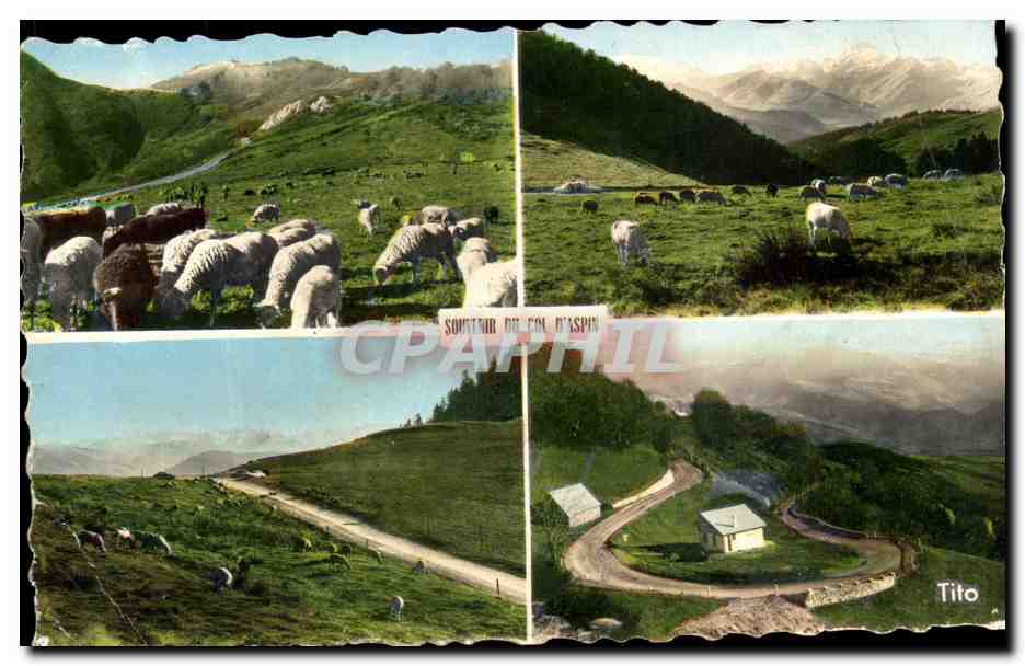 Sous-tour du Col d'Aspin — vue panoramique avec moutons et route — éditeur Tito