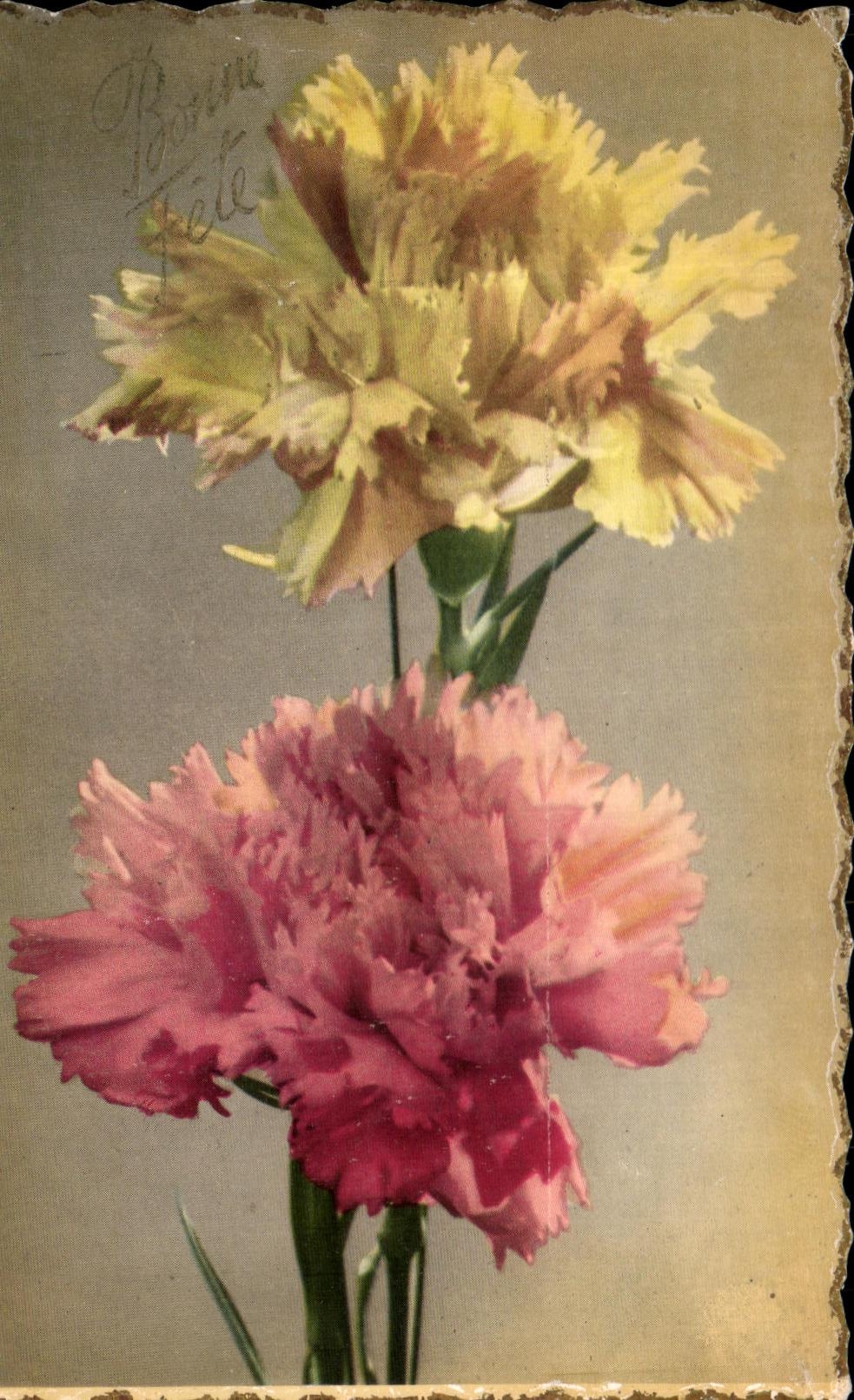 CPA Fleurs 