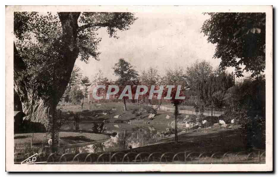 CPA Vichy Les Parcs et le nouveau bassin des cygnes
