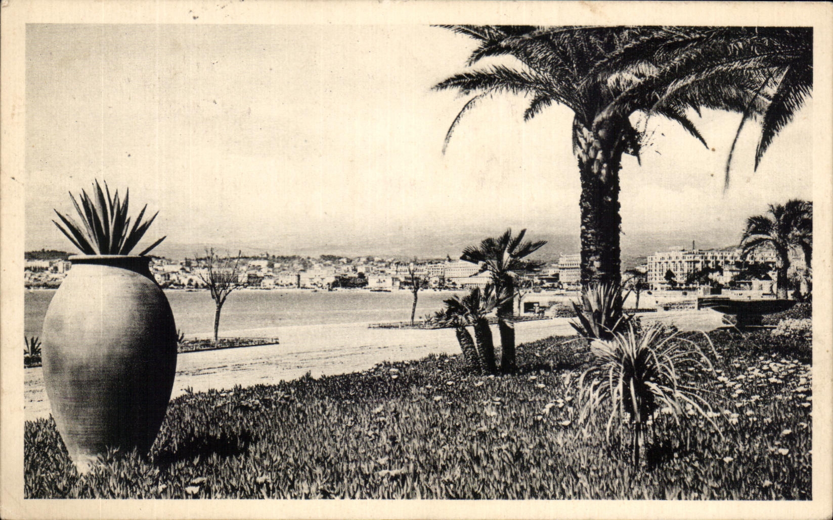 CPA Cannes Vue Prise Des Nouveaux Jardins