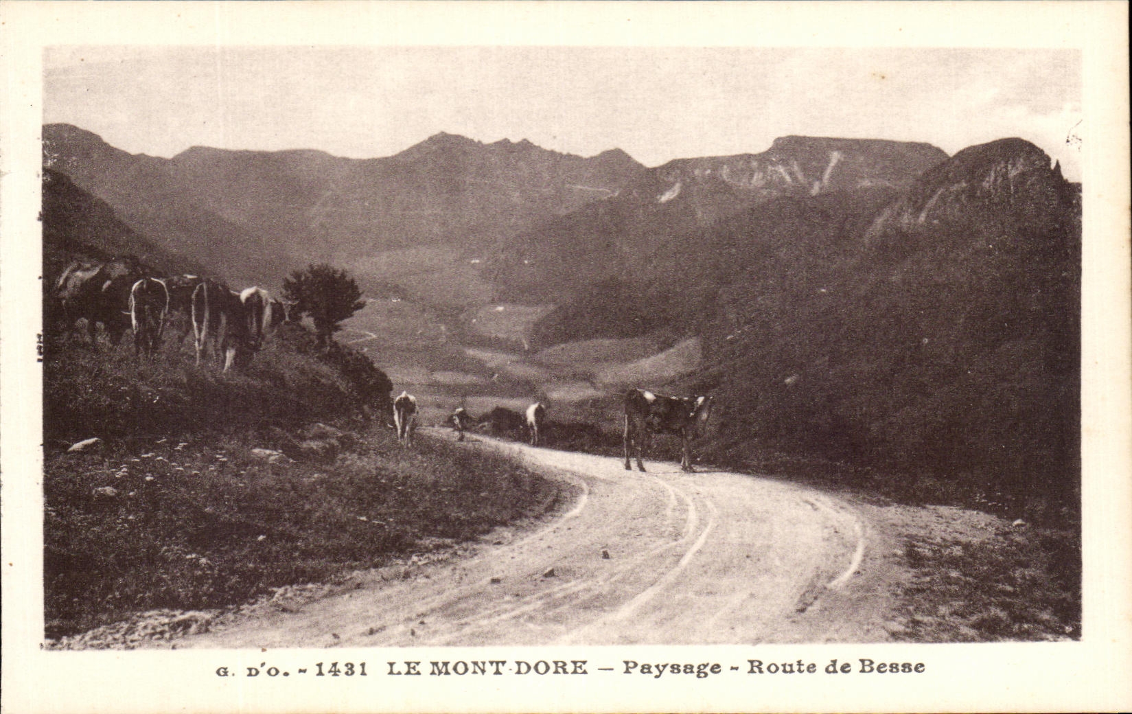 CPA Le Mont Dore Paysage Route de Besse Vaches