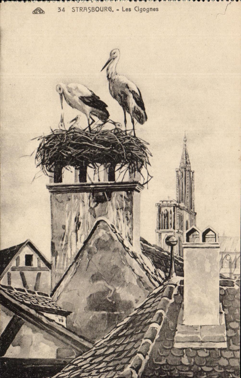Strasbourg - Les Cigognes — éditeur CPAPHIL, n° de série 34