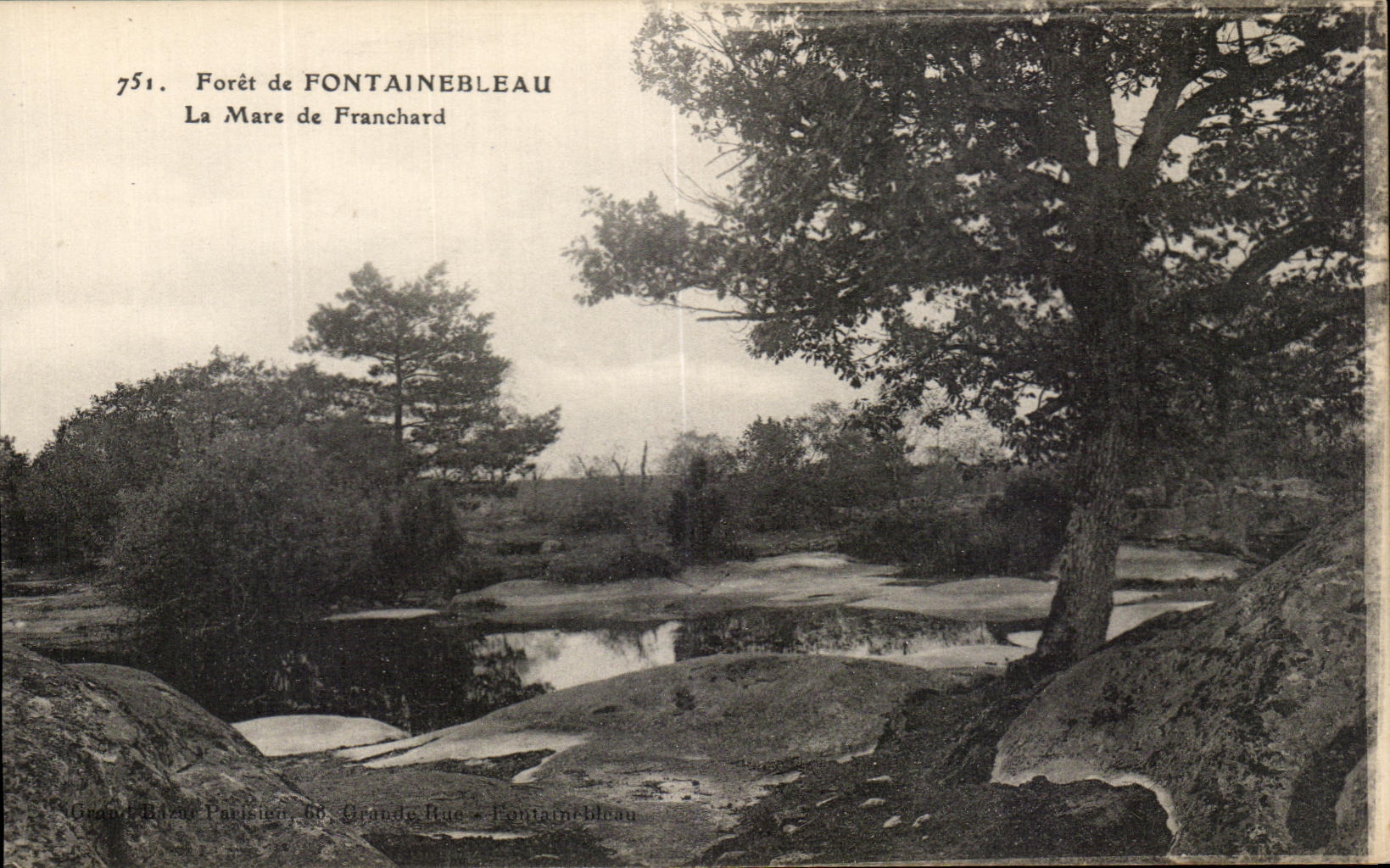 Bosque de FONTAINEBLEAU — La Mare de Franchard — Grand Bâne Parisien, 66 Grande Rue, Fontainebleau