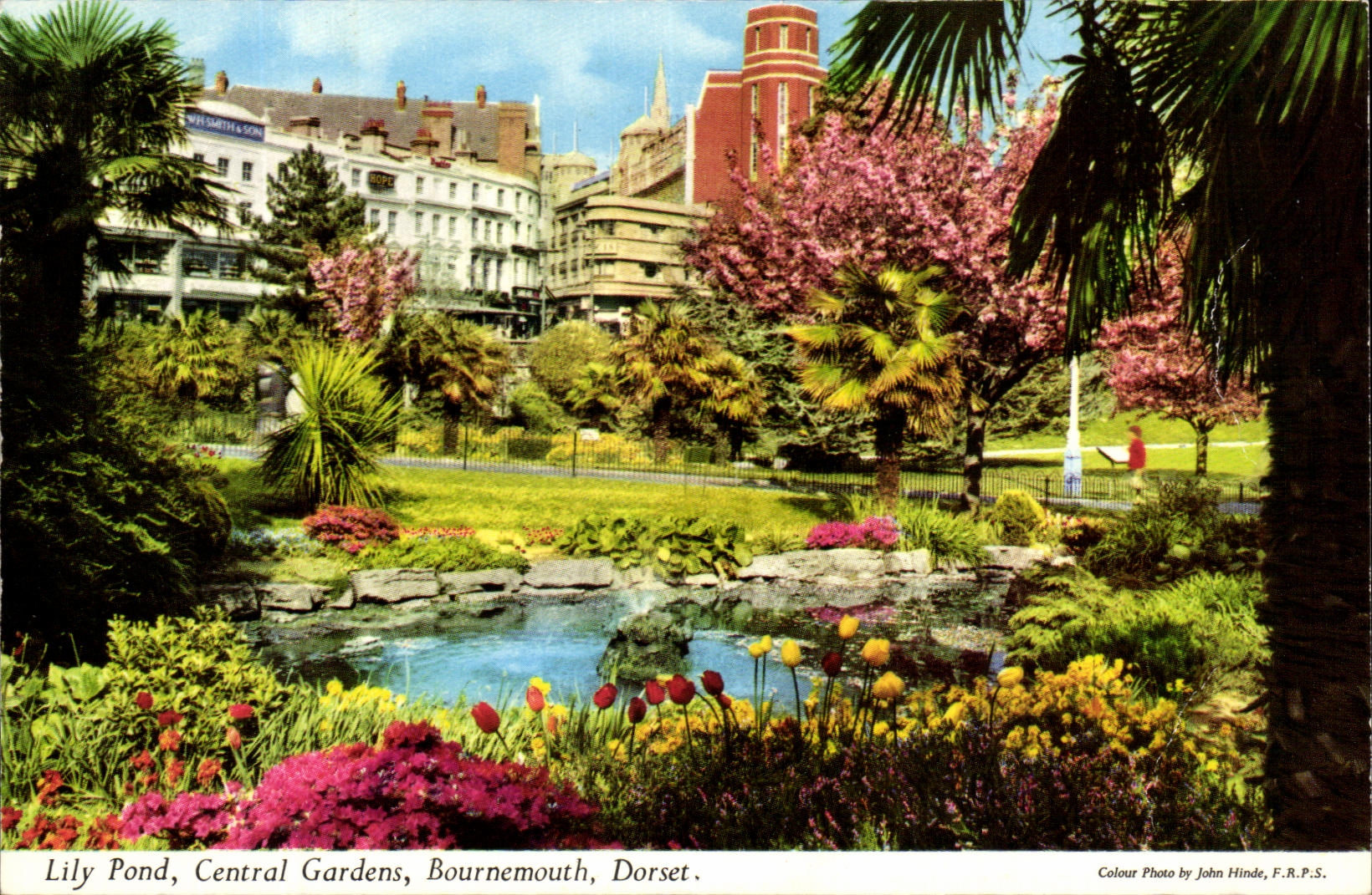 CPA Lily Pond Central Gardens Bournemouth Dorset