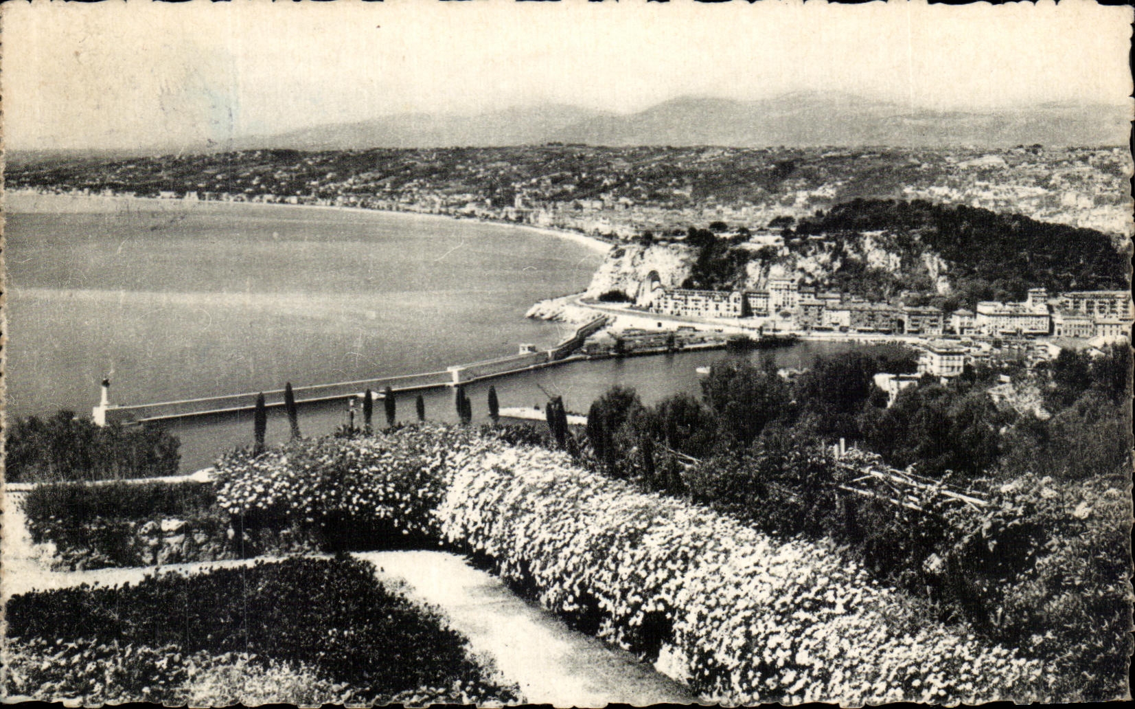CPA Nice Vue Generale