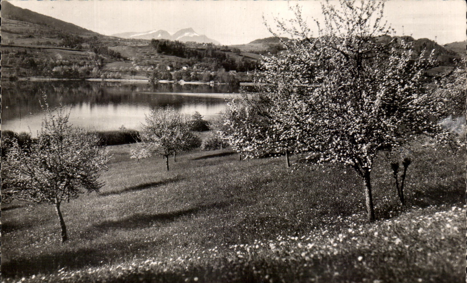 CPA Le lac D'Aiguebelette a Saint Albon de Montbel dans le fond les Montages de chartreuse
