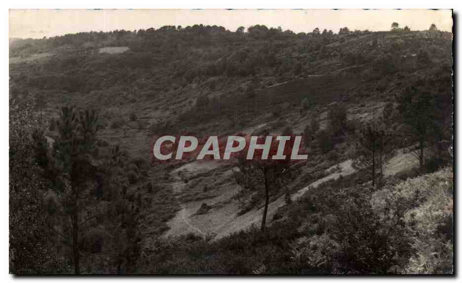 CPSM Saint Leanard Des Bois Vue sur la Bruyere