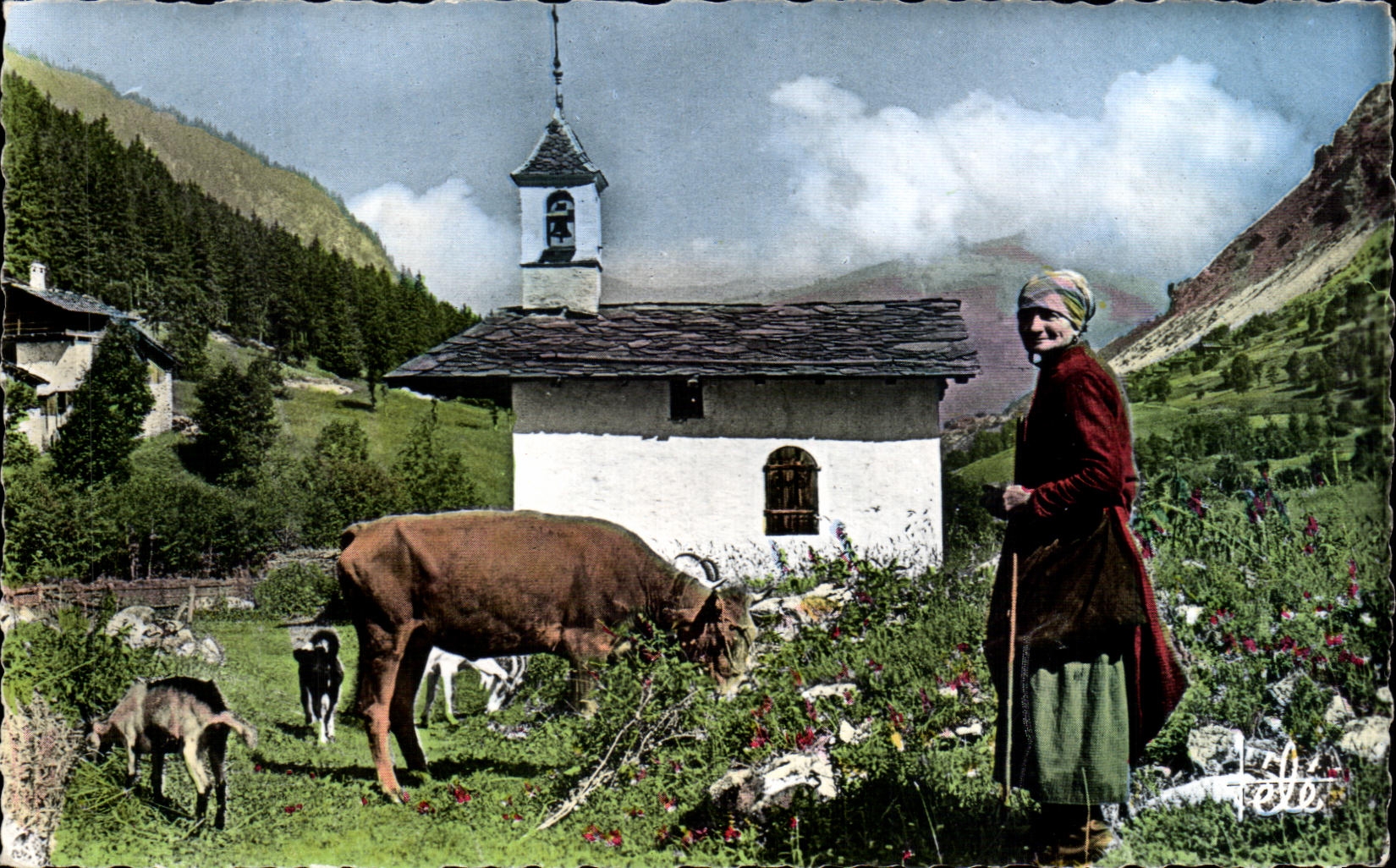 CPSM La Savoie Pitteresque Chapelle Paturage on haute altitude Notre Dame des Neiges Chevre 