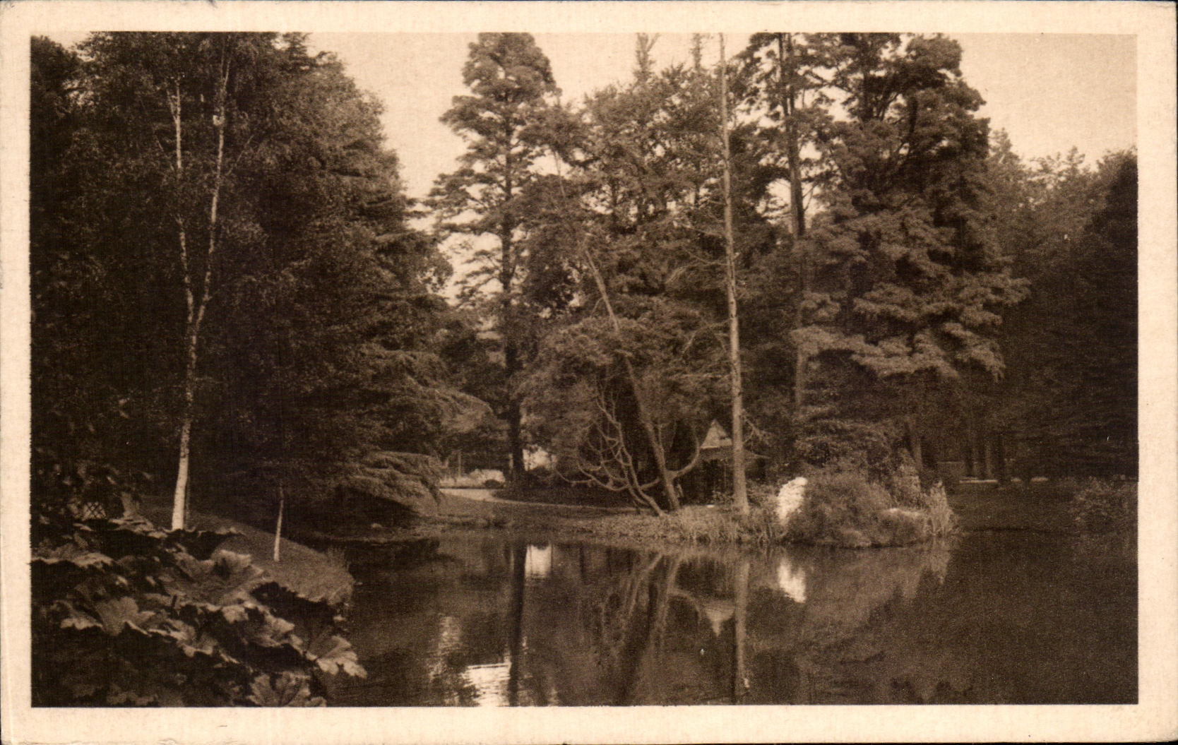 CPA Nantes Le Jardin Des Plantes
