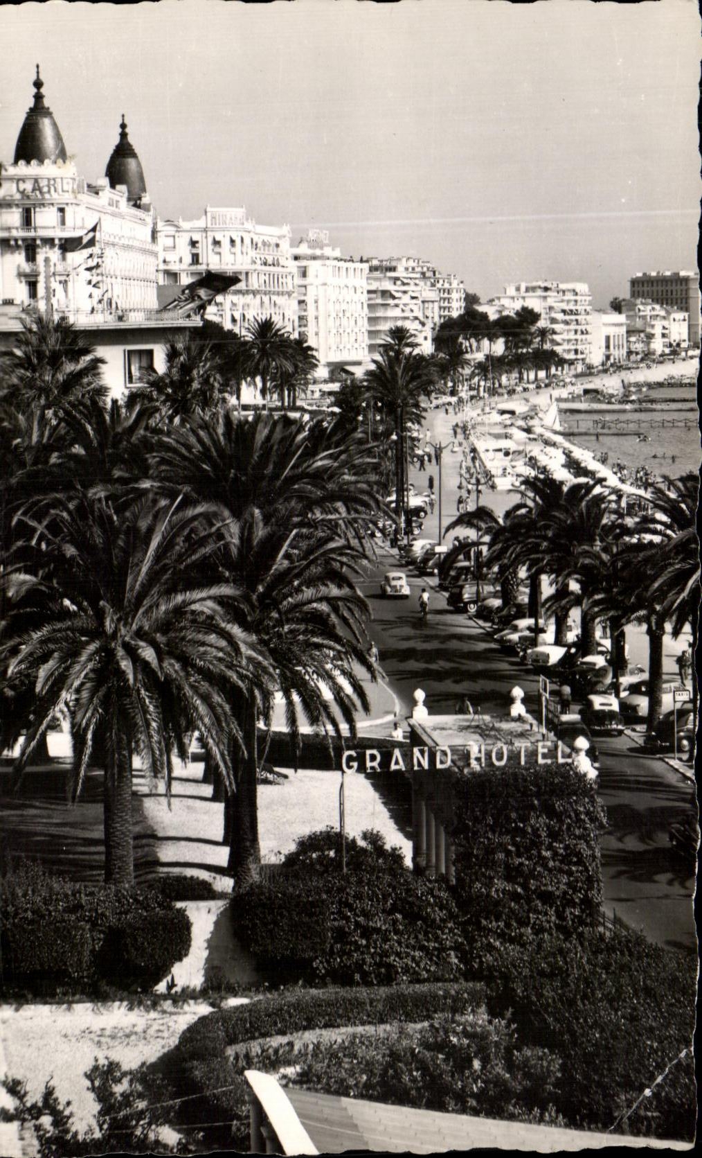 CPSM la Cote D'Azur Cannes Les Hotels Vue generale de la Croisette