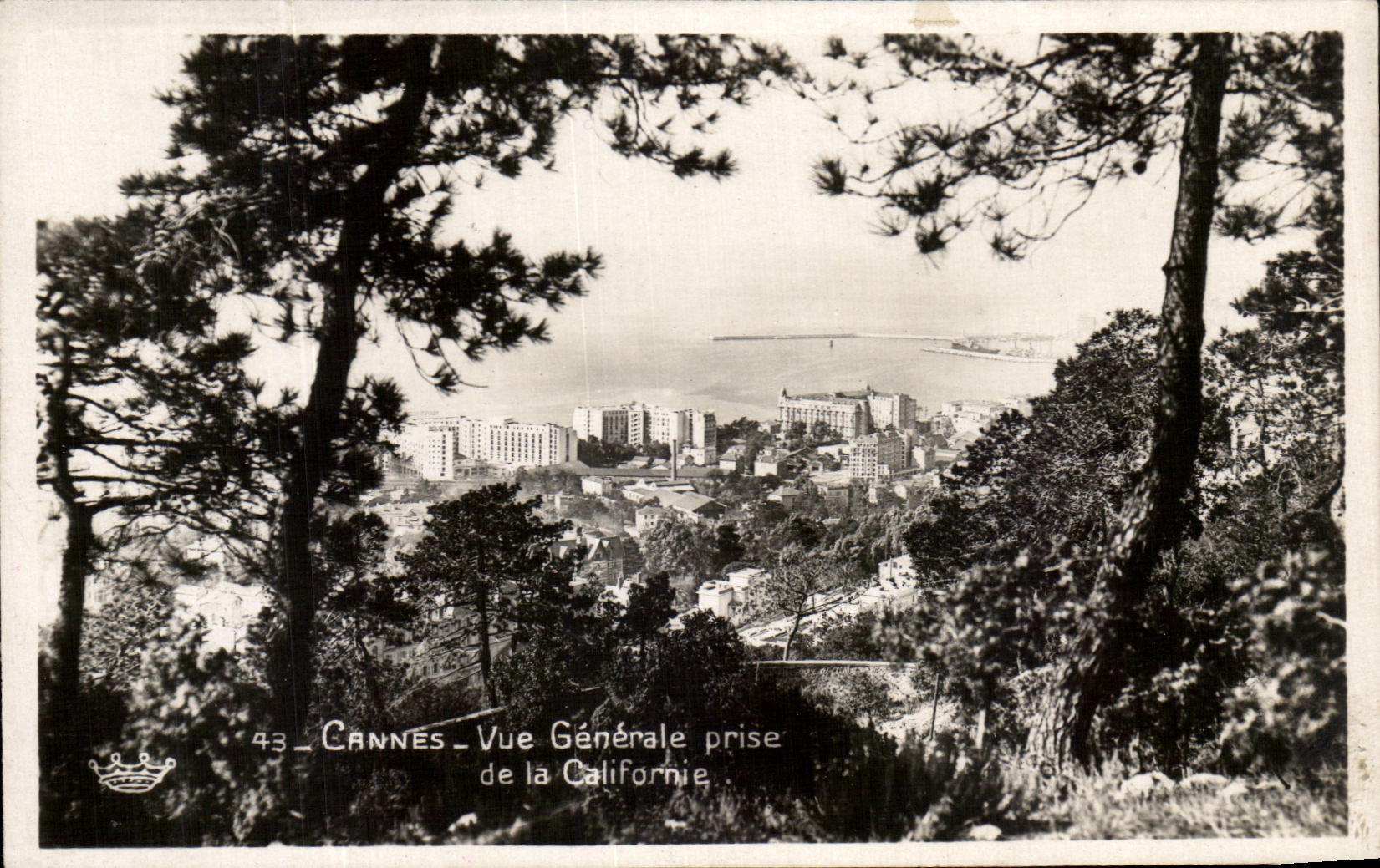 CPA Cannes Vue Generale Prise De La Californie