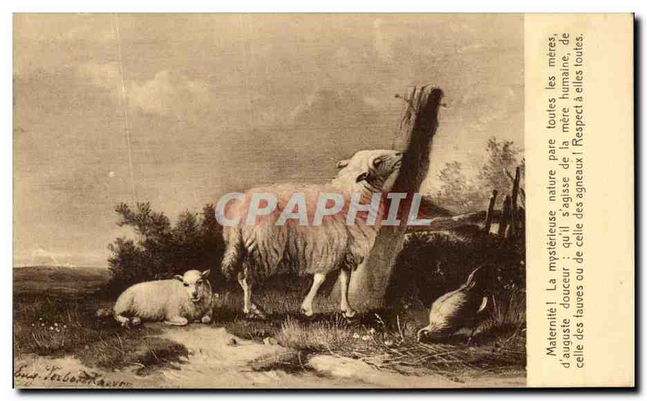CPA Maternite La Mysterieuse Nature Moutons 