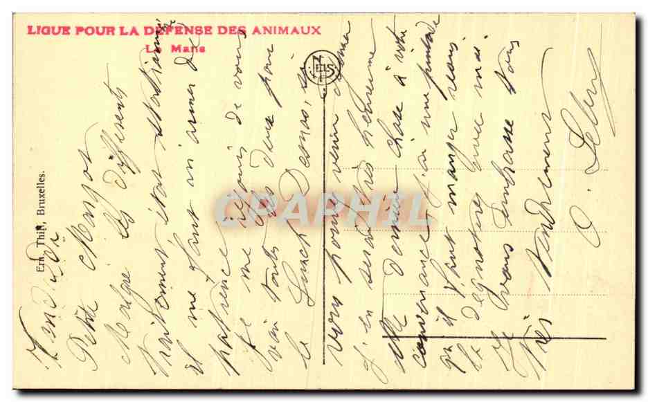CPA Maternite La Mysterieuse Nature Moutons  — Rückseite