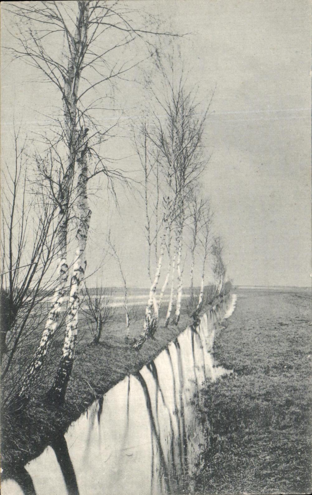 CPA Riviere Arbres