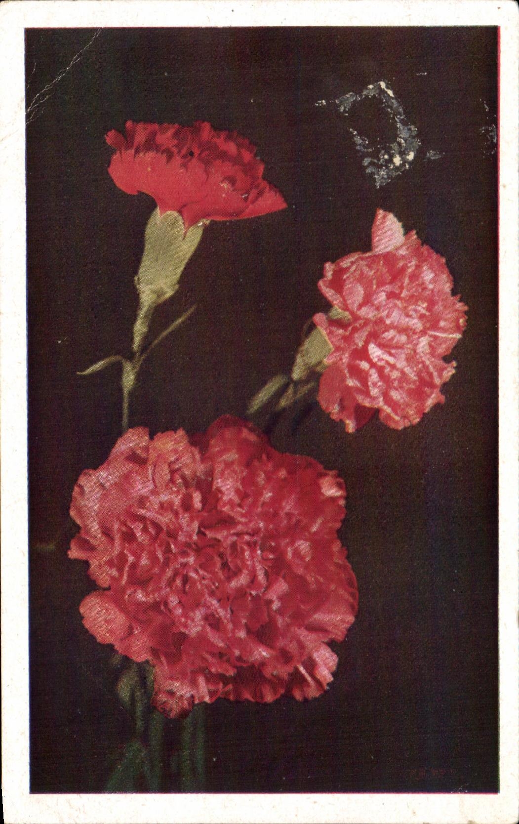 CPA Fleurs