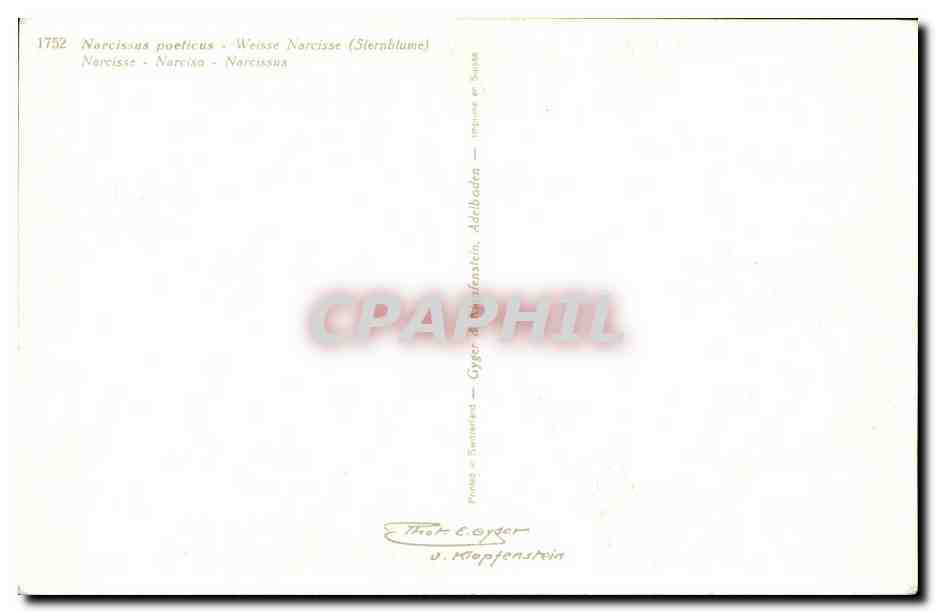 CPA Fleurs — Verso