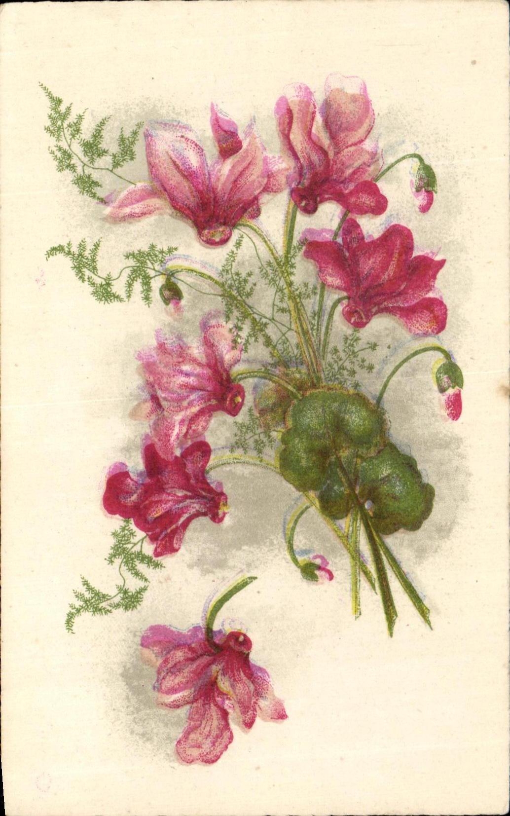 CPA Fleurs 
