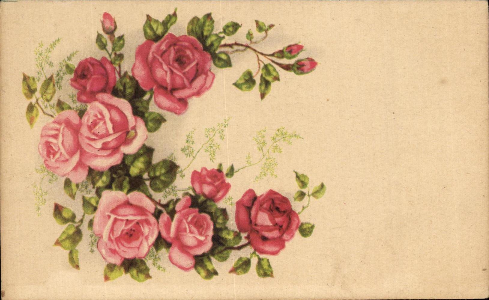 CPA Fleurs 