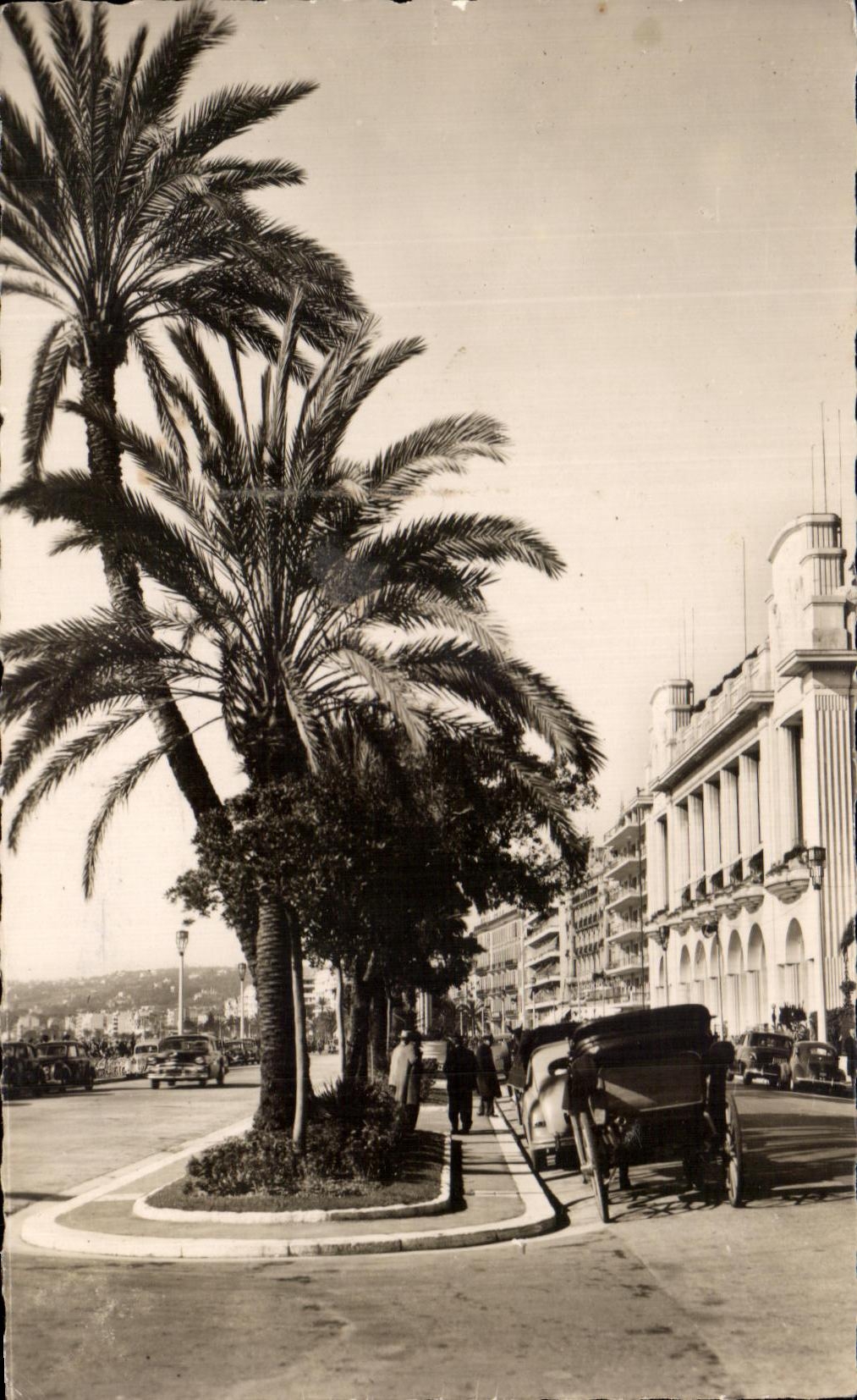 CPA Nice Palmiers Sur La Promenade Des Anglais
