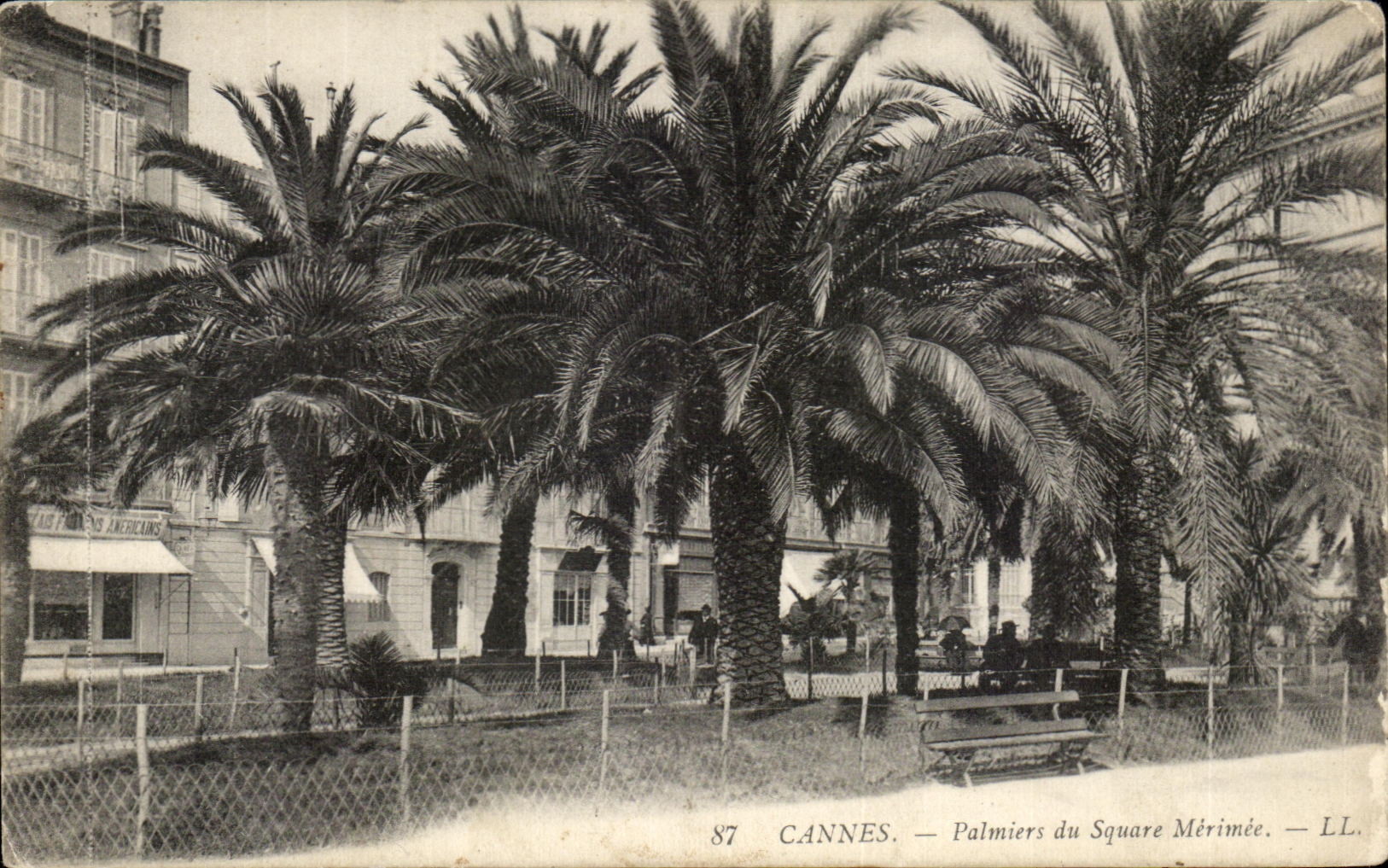 CPA Cannes Palmiers Du Square Merimee