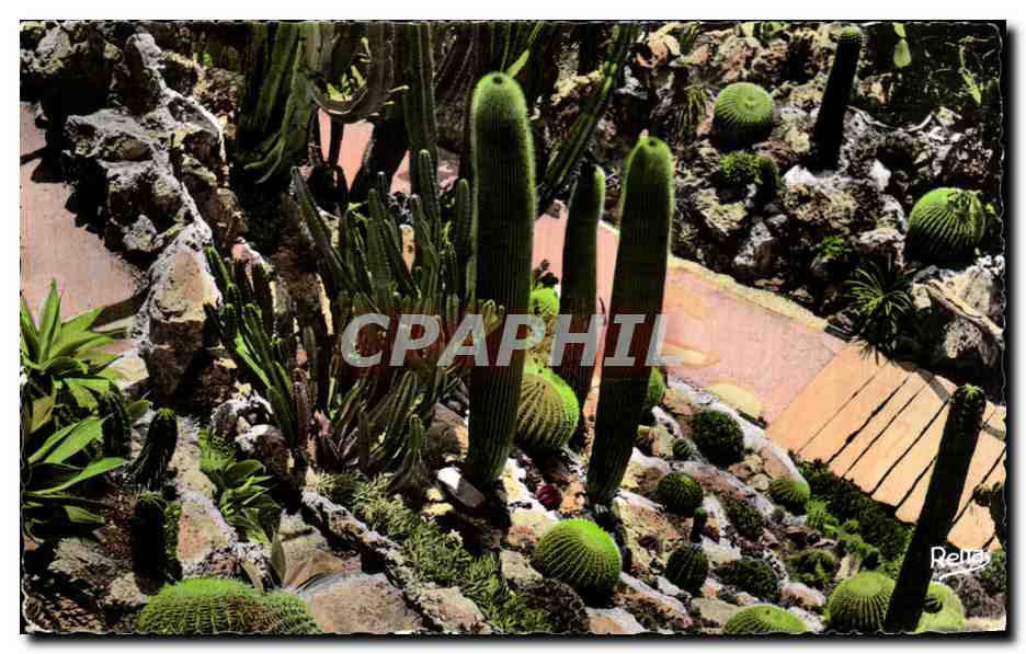 Jardin Exotique — Monte-Carlo — Éditions Rella