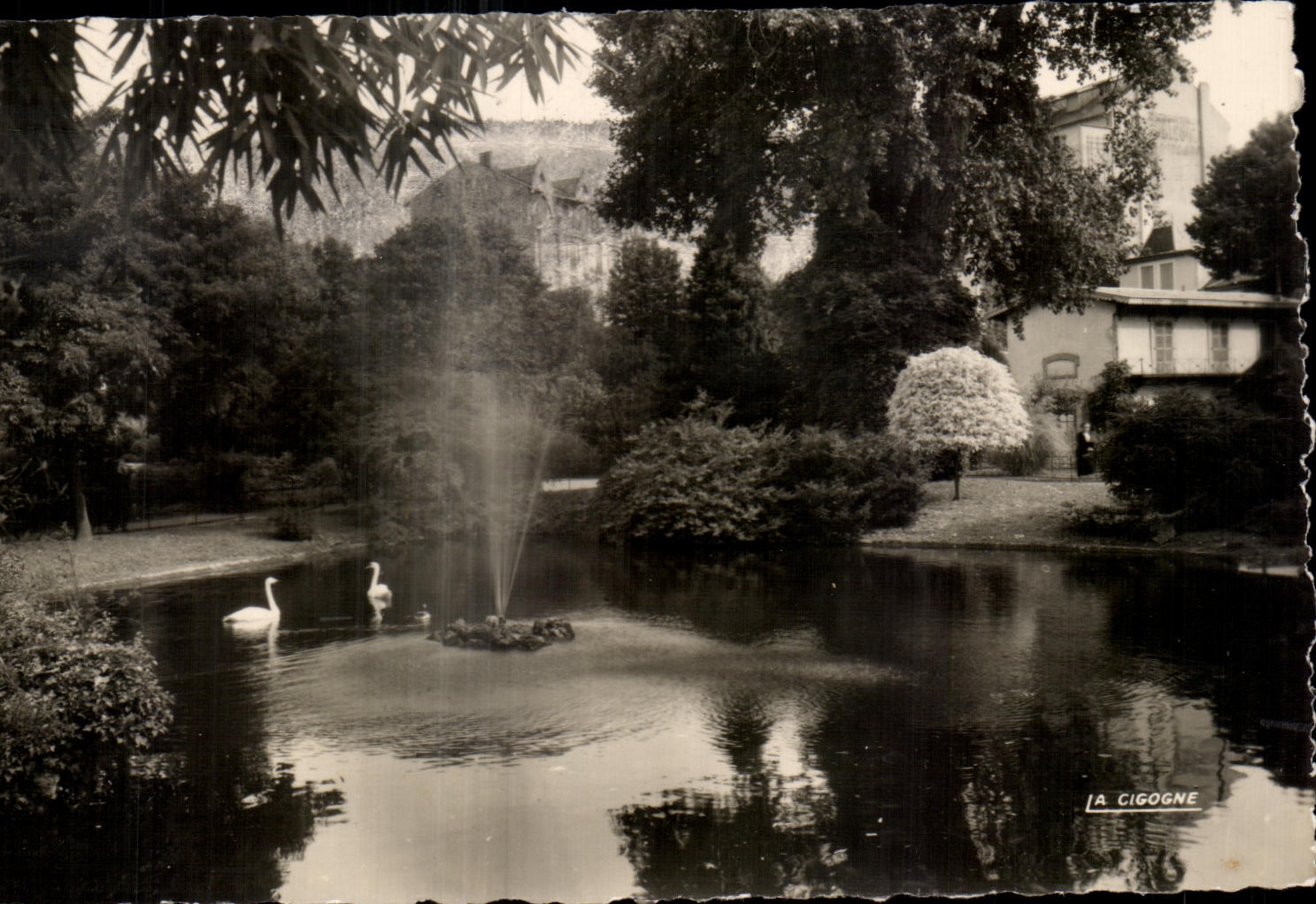 CPA Vichy Reine Des Villes D'Eaux Bassin Des Cygnes Dans Les grands parcs