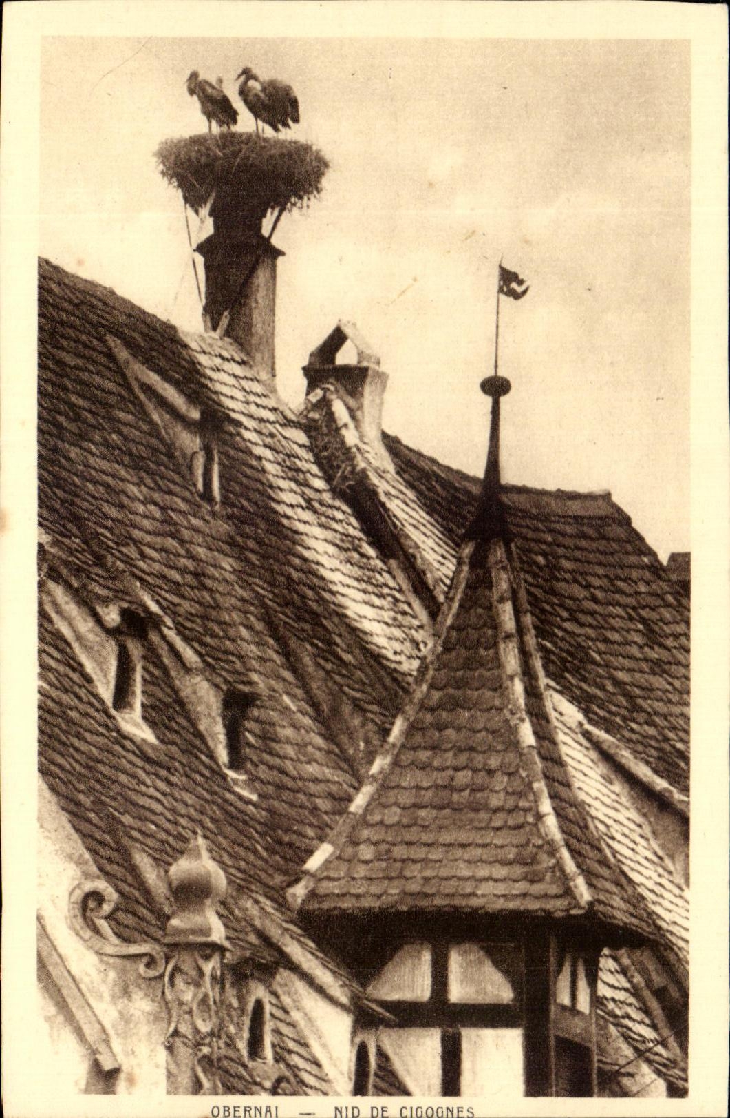 CPA Obernai Nid De Cigognes