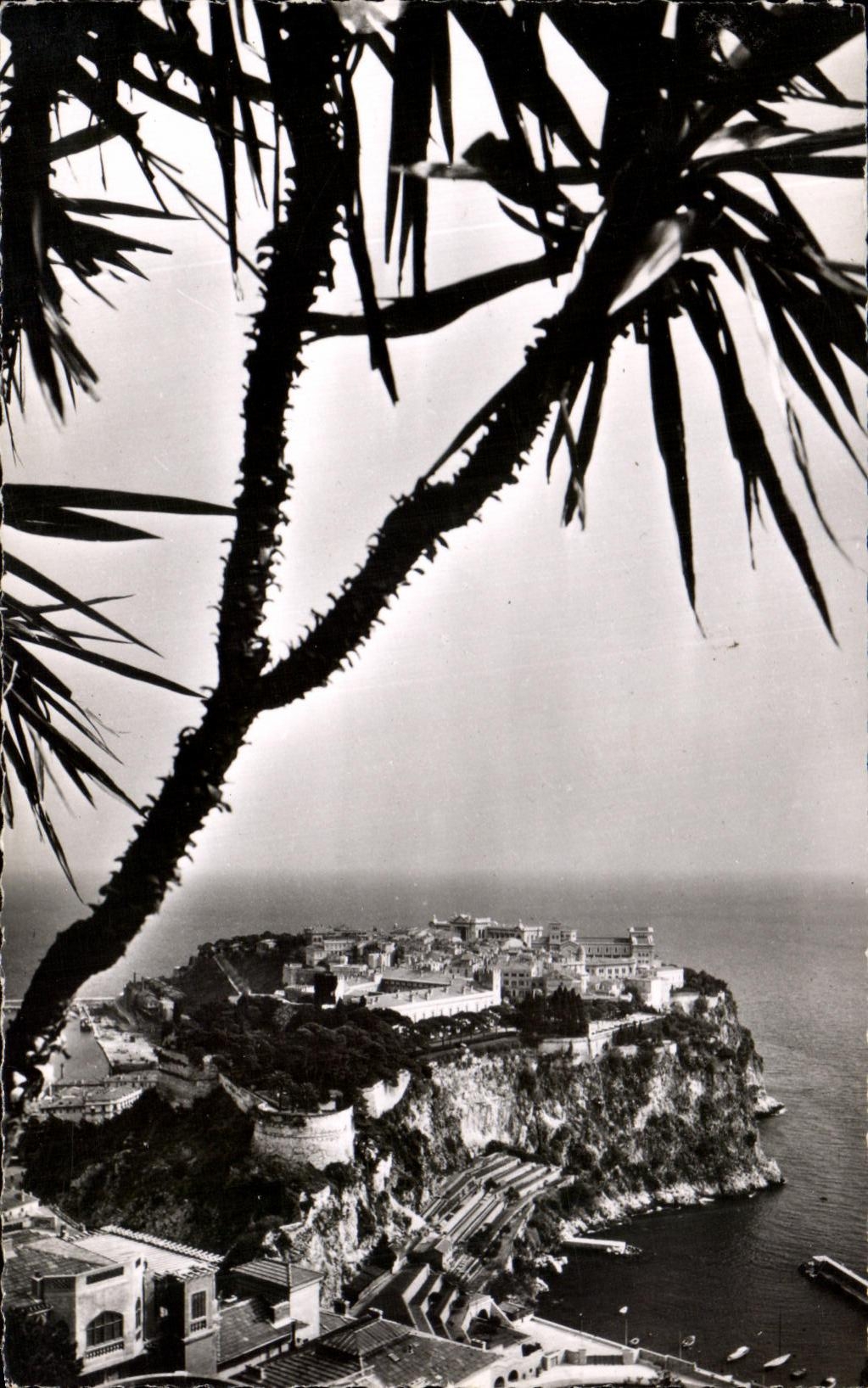 Jardin Exotique de Monaco — Le Rocher de Monaco, avec en premier plan le Palais Princier, vu du Jardin Exotique — Éditions de Luzarche, n° 3571