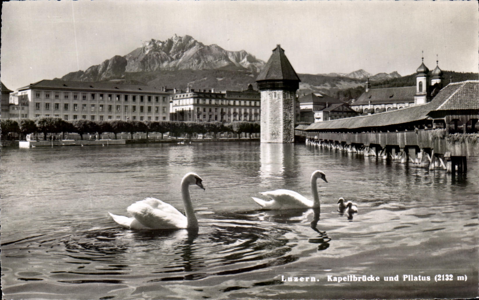 CPA Luzern Kapellbrucke und Pllatus Cygnes