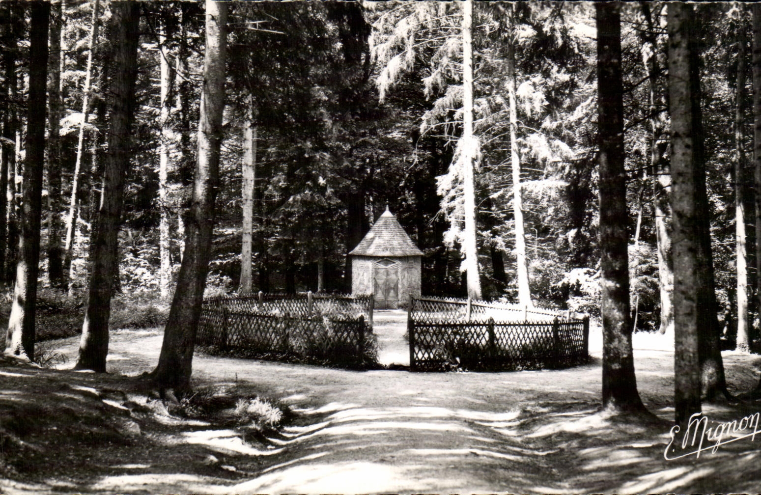 Forêt de Bellême — Source Romaine de la Herse — E. Mignon