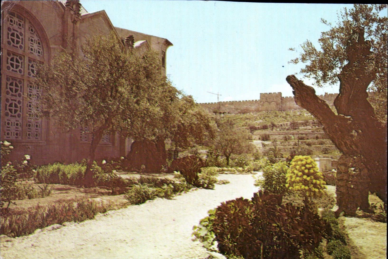 Garten von Gethsemane — Jerusalem — Verlag Télé Loisirs n°47