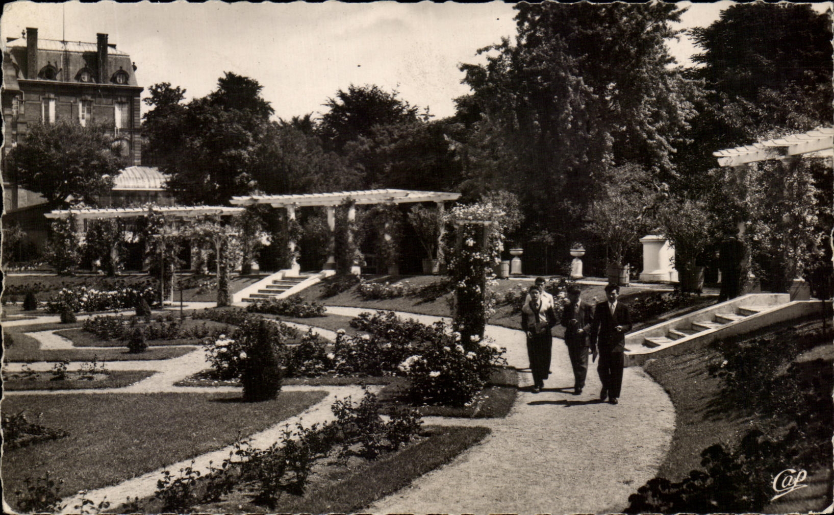 CPA Clermont Ferrand Jardin des Plantes La Roseraie