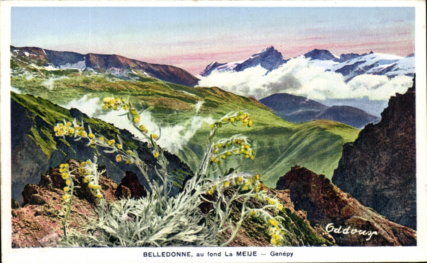 Belledonne, au fond La Meije — Genépy — Oddouy