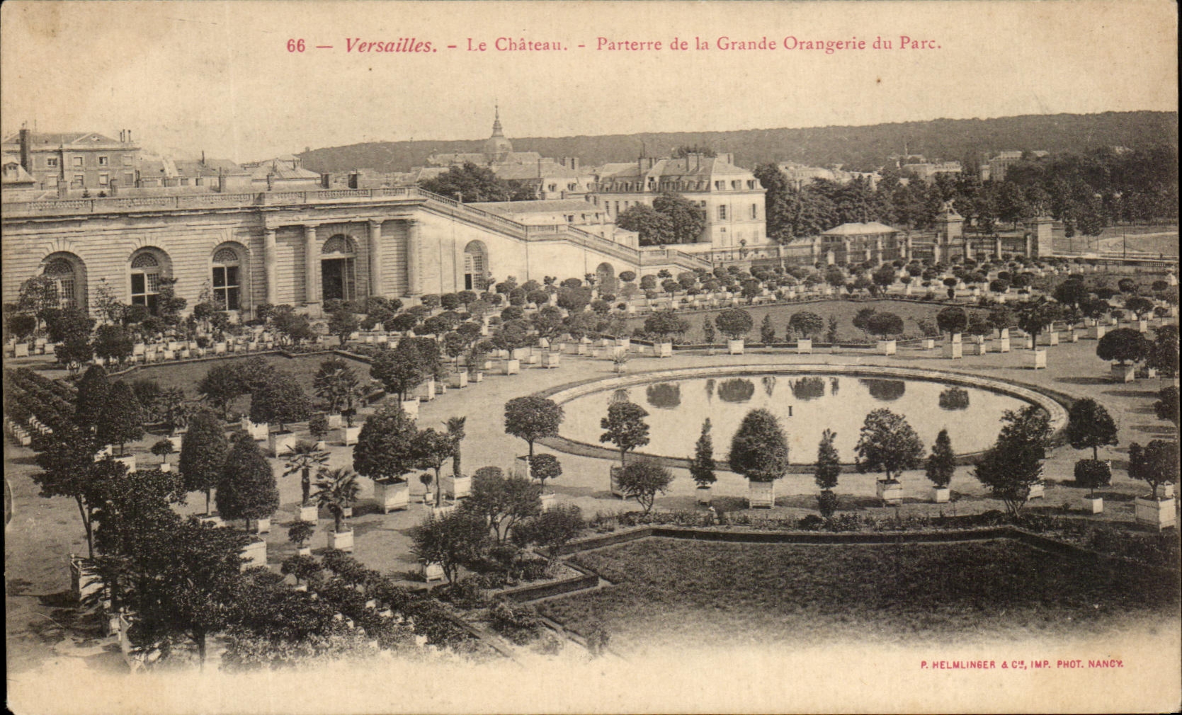 CPA Versailles Le Chateau Parterre De La Grande Orangerie Du Parc