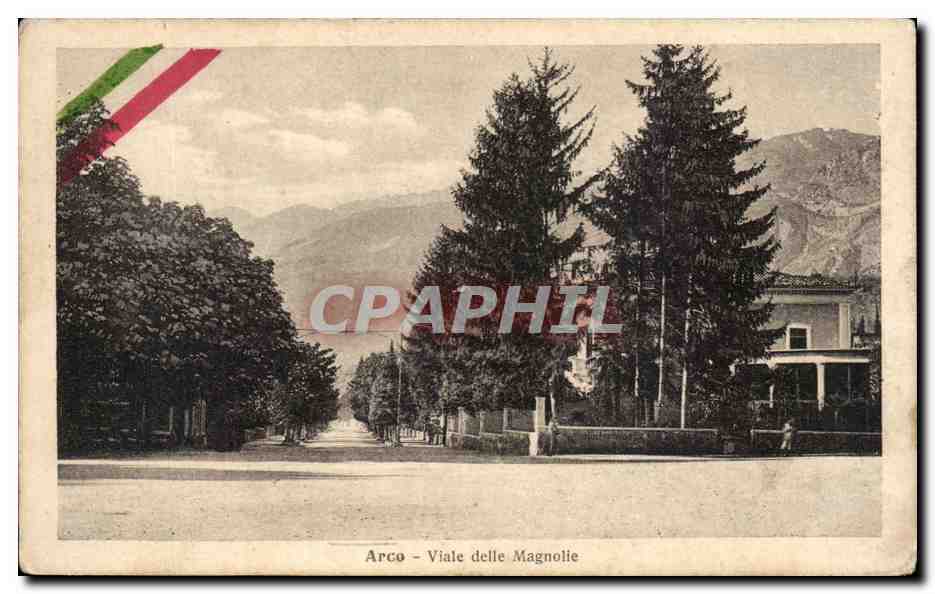 CPA Arco Viale delle Magnolie