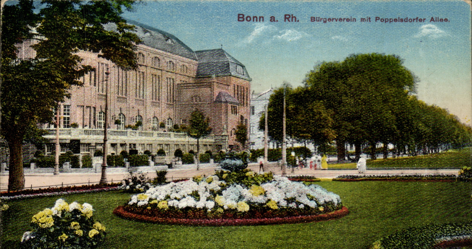 CPA Bonn Beethoven Mit Poppelsdorfer Allee