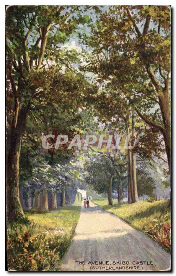 L'Allée, Château de Skibo — Sutherlandshire — Tuck's Post Card n°7680