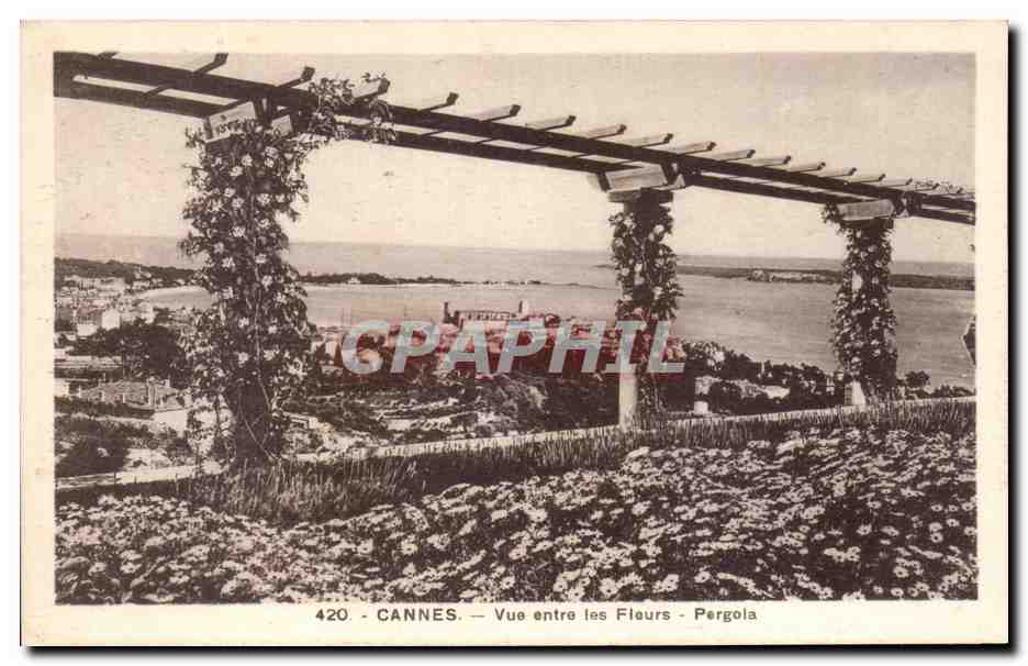 CPA Cannes Vue entre les Fleurs Pergola