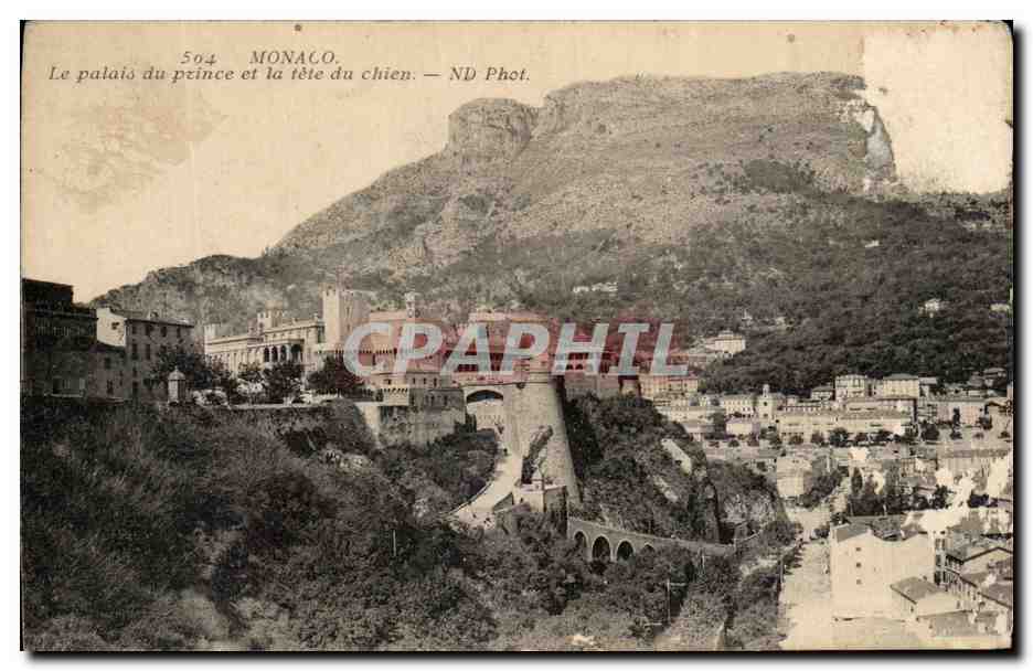 CPA Monaco Le Palais du Prince et la tete du Chien