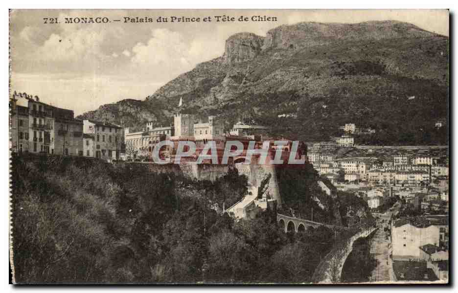 CPA Monaco Palais du Prince et Tete de Chien