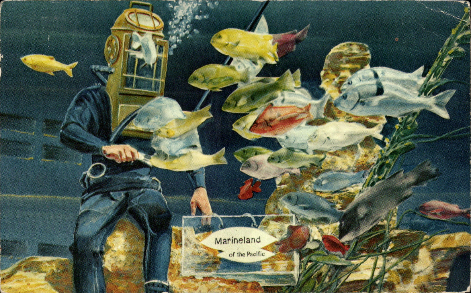 Marineland of the Pacific — plongeur avec poissons — éditeur inconnu, n° de série non visible