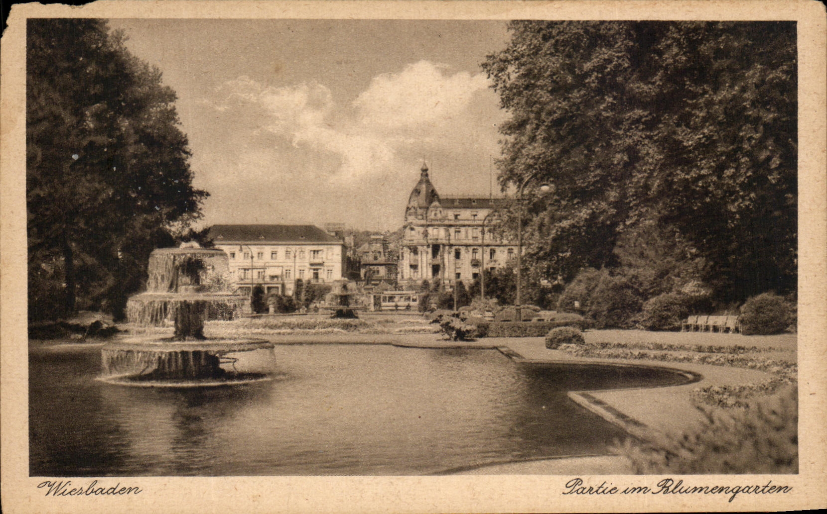 CPA Wiesbaden Partie Im Rlumengarten
