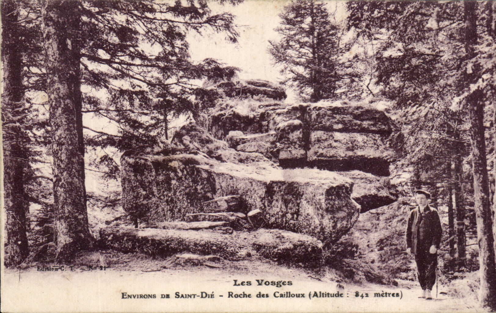 CPA Les Vosges Saint Die Roche des Cailloux