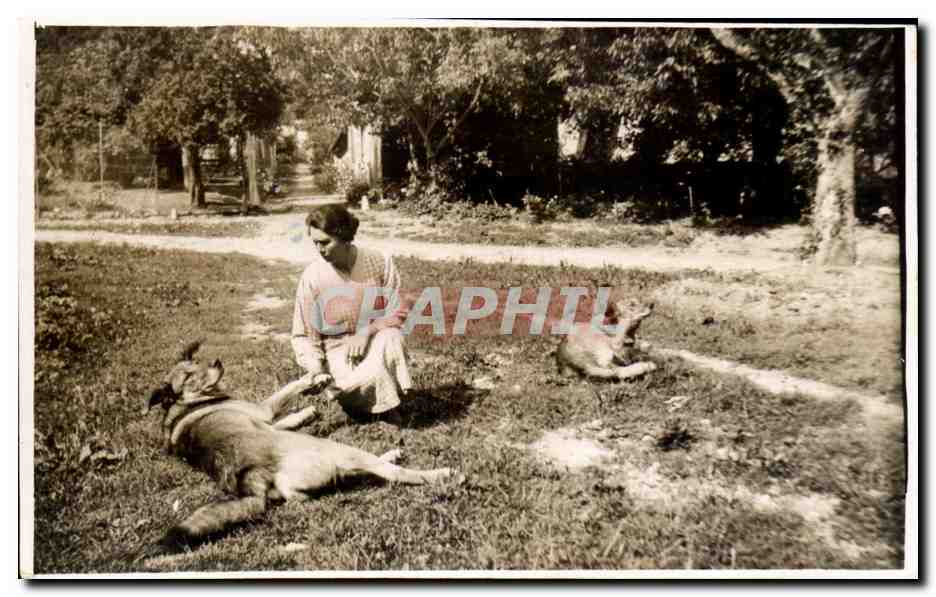 CARTE PHOTO Collau 1933 Femme et chiens 